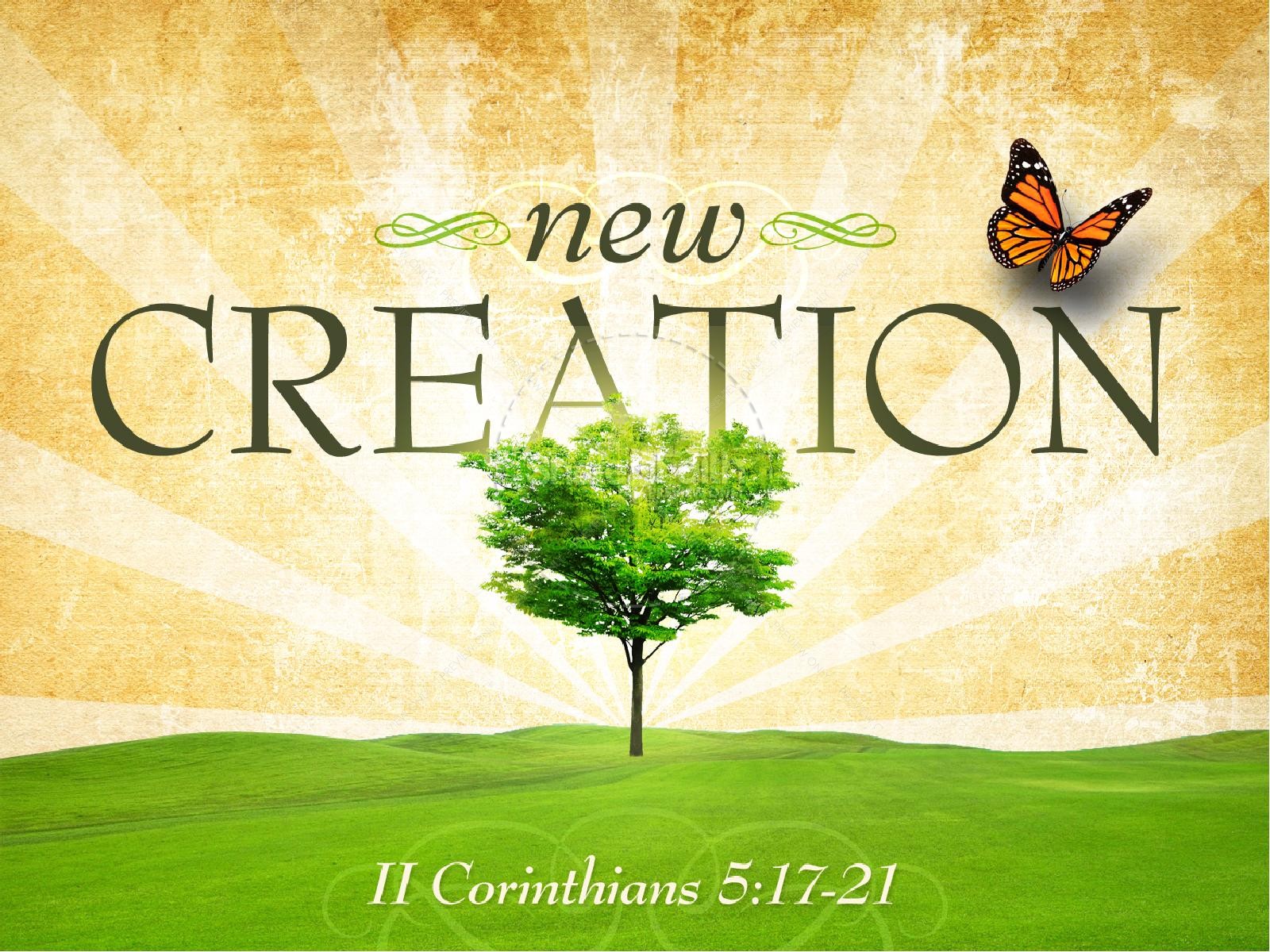 newcreation