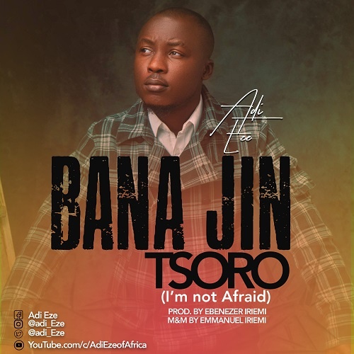 Adi Eze bana Jin Tsoro